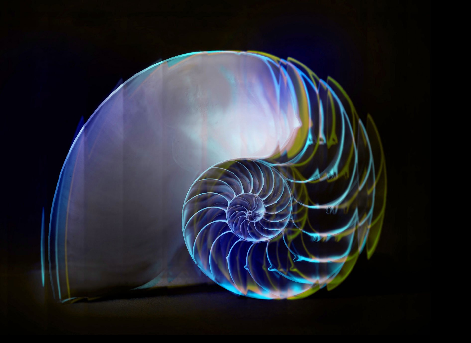 Artboard-Shell-v2