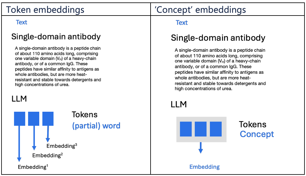 Token embeddings and concept embeddings