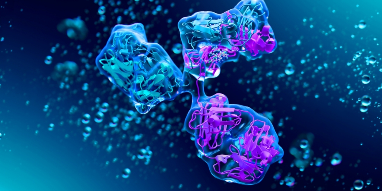 Home_Carousel_Case Studies