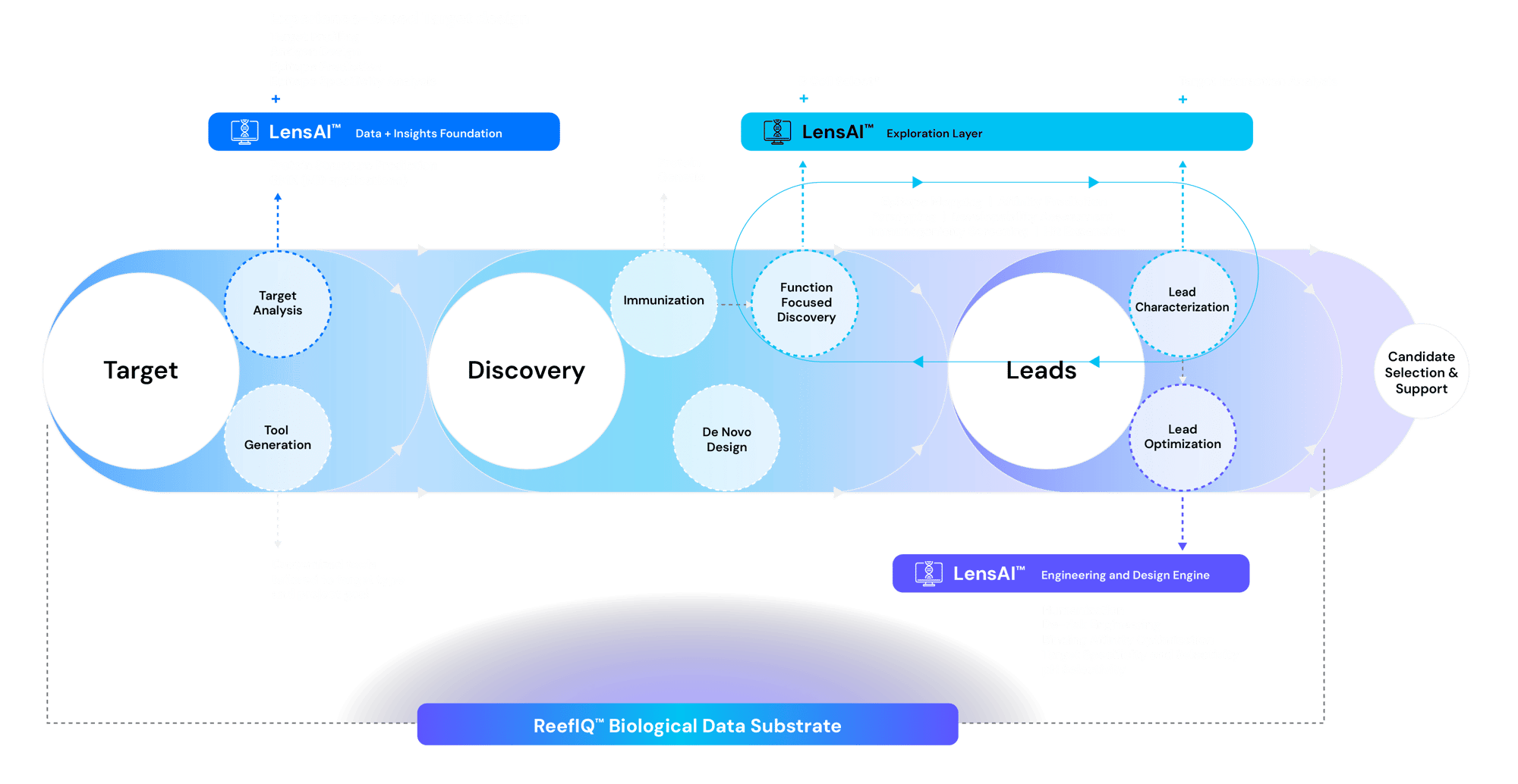 TDL workflow_for Bcell-Sep-16-2026-04-39-53-4310-PM