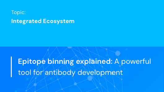 Epitope binning explained: A powerful tool for antibody development
