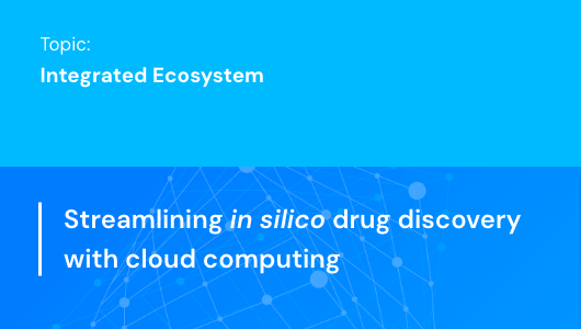 Streamlining in silico drug discovery with cloud computing