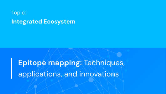 Epitope mapping: Techniques, applications, and innovations