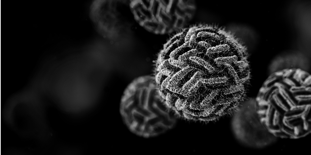 ImmunoPrecise Advances AI Discovered and Developed Universal Dengue Vaccine Initiative: Moves into Preclinical Antibody Generation